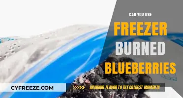 Reviving Freezer Burned Blueberries: Safe Uses and Creative Solutions
