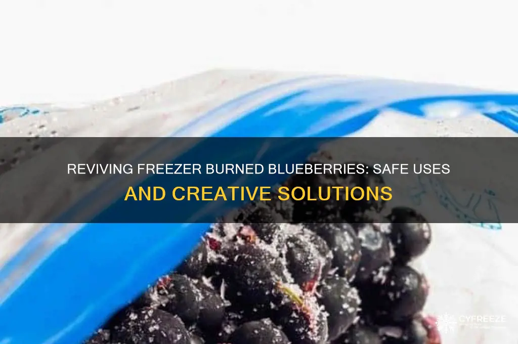 can you use freezer burned blueberries