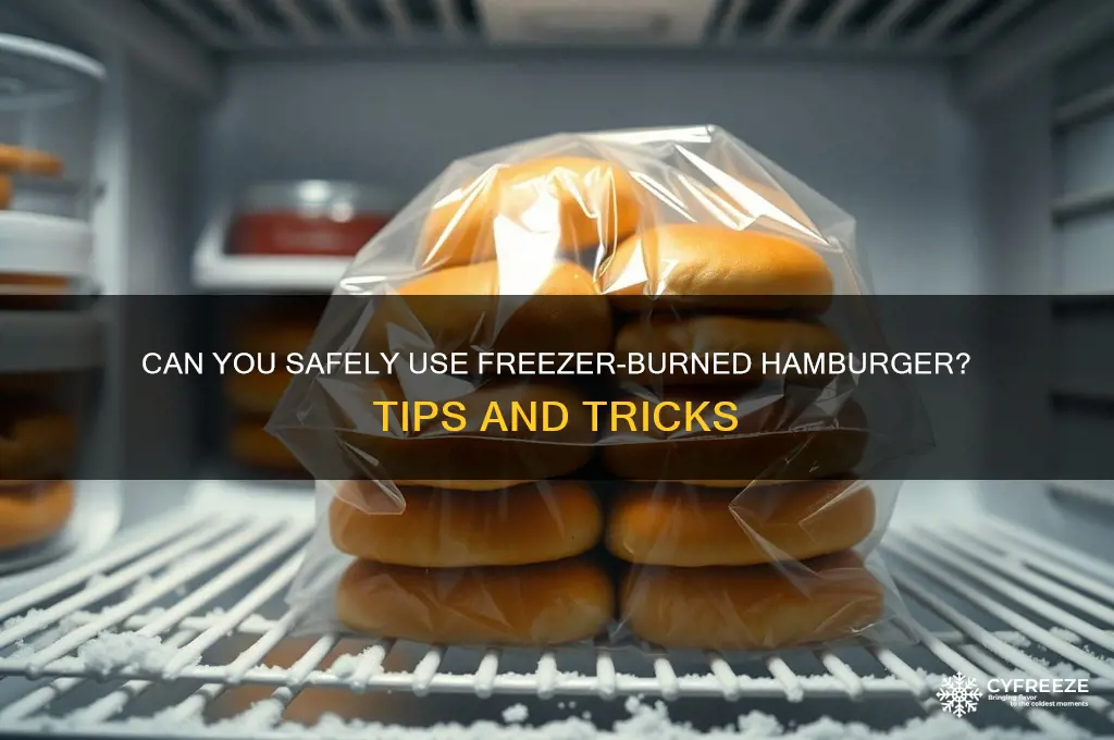 can you use freezer burned hamburger