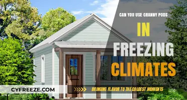 Granny Pods in Freezing Climates: Are They a Viable Option?