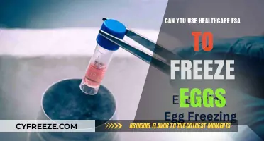 Using Healthcare FSA for Egg Freezing: What You Need to Know