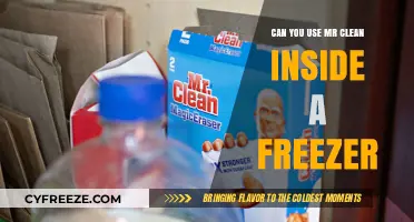 Using Mr. Clean in Your Freezer: Safe or Not?