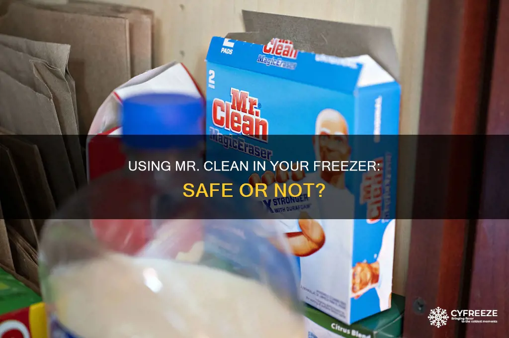 can you use mr clean inside a freezer