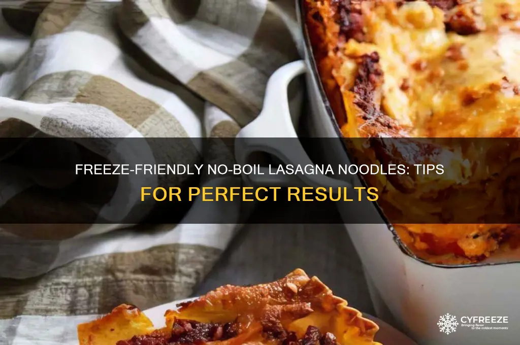 can you use no boil lasagna noodles and freeze it