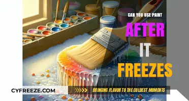 Frozen Paint: Can You Still Use It After It Freezes?