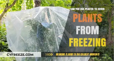 Protecting Plants from Frost: Using Plastic Covers Effectively in Winter