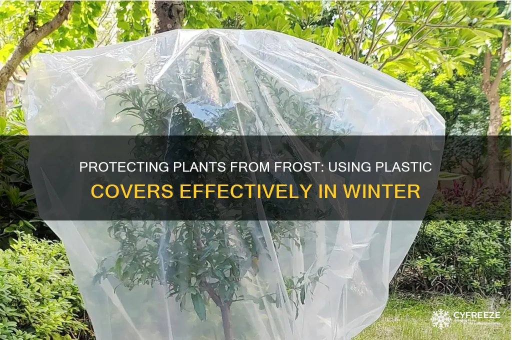 can you use plastic to cover plants from freezing