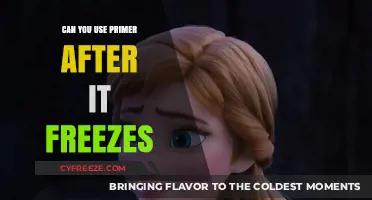 Frozen Primer: Can You Still Use It After It Freezes?
