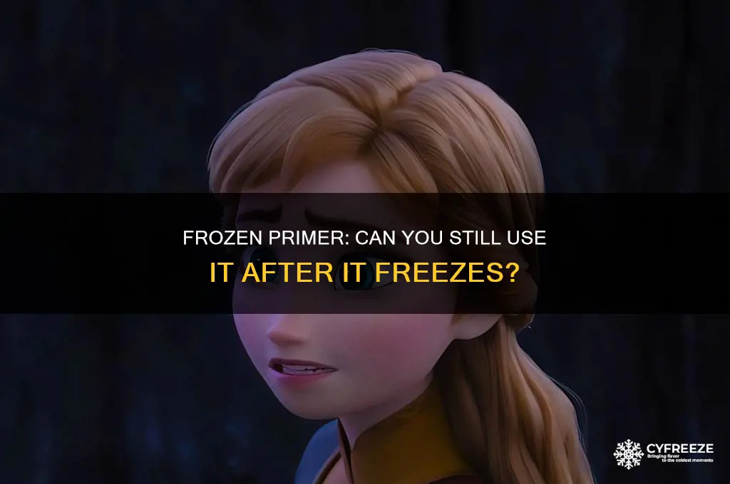 can you use primer after it freezes