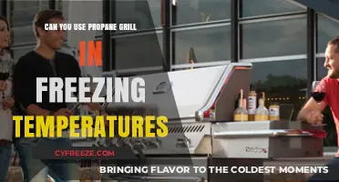 Grilling in Winter: Propane Grill Use in Freezing Temperatures