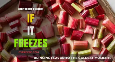 Frozen Rhubarb: Safe to Use and How to Preserve Its Quality