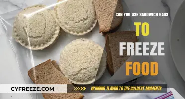 Freezing Food in Sandwich Bags: Safe, Effective, or Risky?