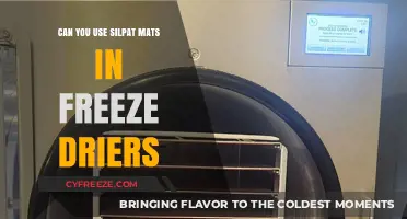 Using Silpat Mats in Freeze Drying: Tips and Best Practices