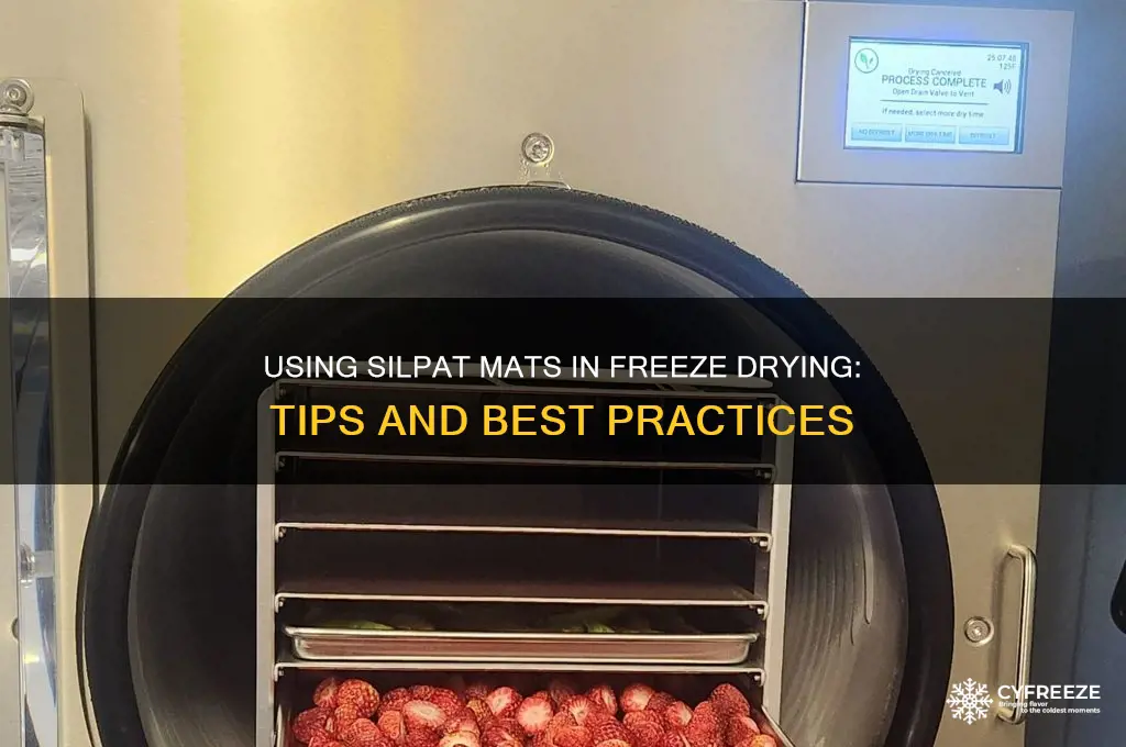 can you use silpat mats in freeze driers