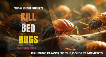 Freezing Bed Bugs: Effective Method or Myth? Expert Insights Revealed