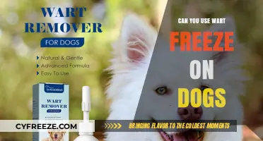 Using Wart Freeze on Dogs: Safety, Risks, and Alternatives Explained