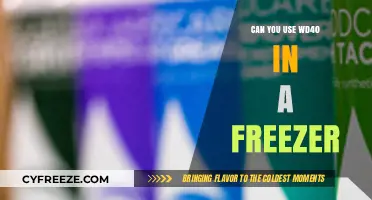 Using WD-40 in Freezers: Safe or Risky Maintenance Solution?