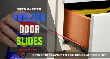 WD40 on Freezer Door Slides: Safe Solution or Slippery Mistake?