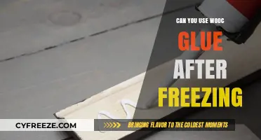 Can Frozen Wooc Glue Still Work? Tips and Insights
