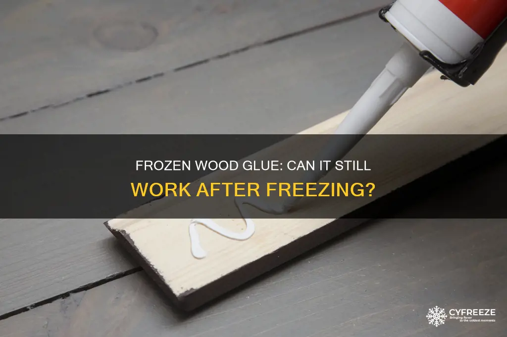 can you use wood glue if it freezes