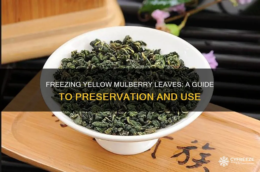 can you use yellow mulberry leaves freeze
