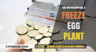 Vacuum Sealing and Freezing Eggplant: A Complete Preservation Guide