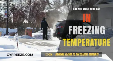 Washing Your Car in Freezing Temps: Risks, Tips, and Best Practices
