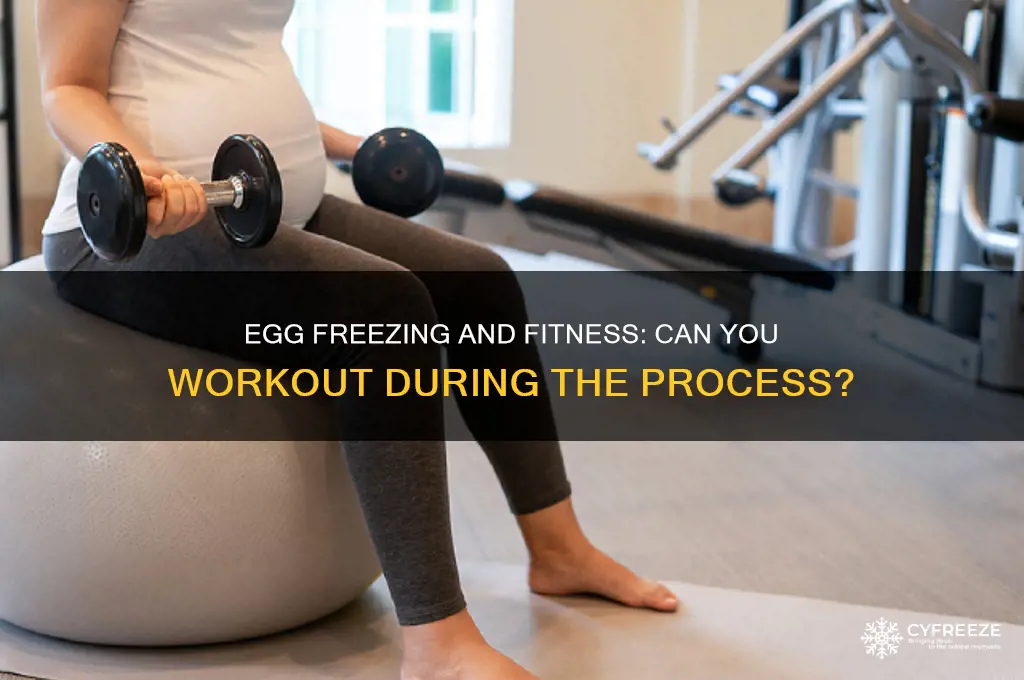 can you workout during egg freezing