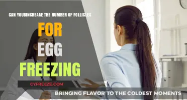Boosting Follicle Count for Successful Egg Freezing: Is It Possible?