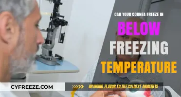 Can Your Cornea Freeze in Below-Freezing Temperatures? Facts Revealed