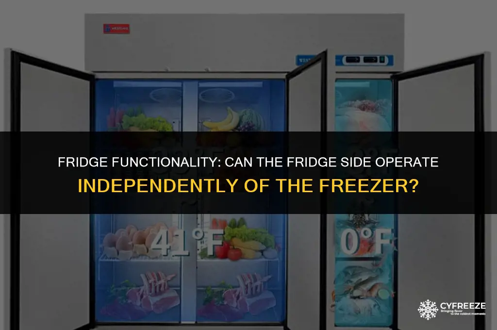 can your fridge side work if the freezer side doesnt