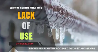 Preventing Frozen Main Lines: The Risks of Infrequent Use Explained