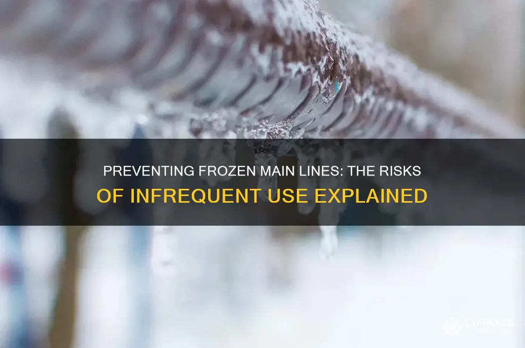 can your main line freeze from lack of use