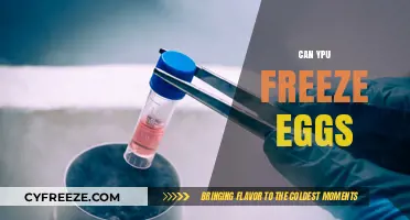 Freezing Eggs: A Complete Guide to Preserving Fertility Safely