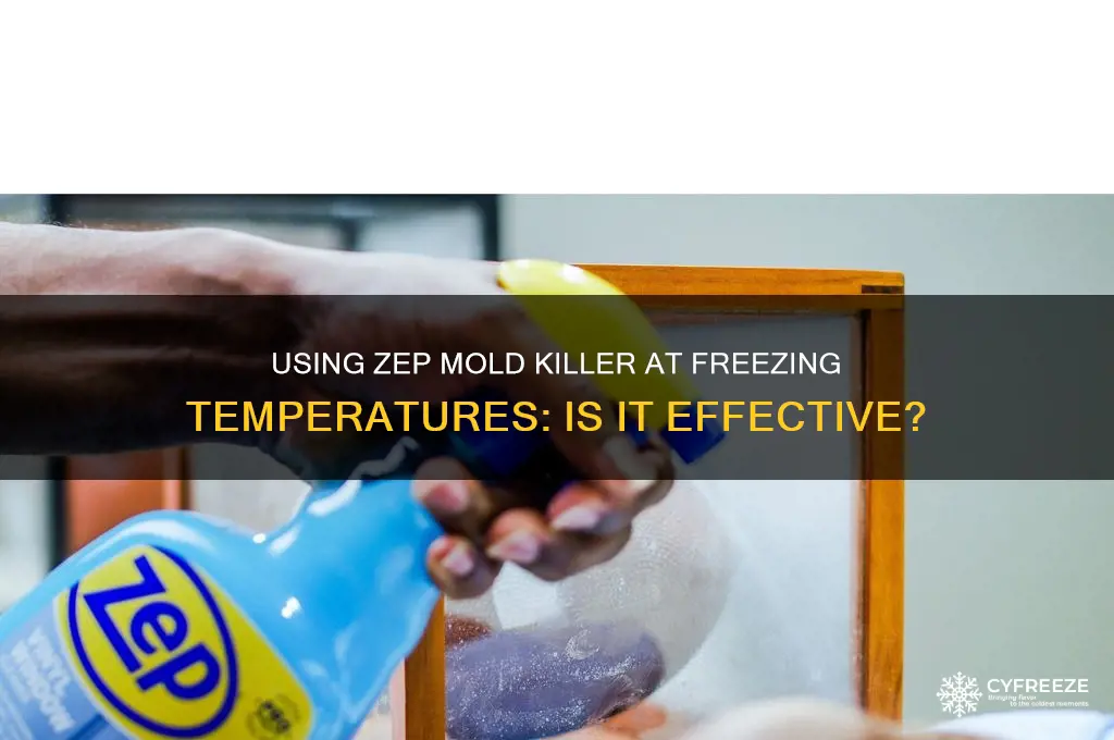 can zep mold killer be used at freezing point