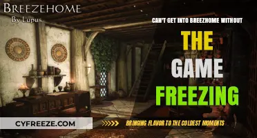 Fixing Skyrim's Breezhome Freeze: Solutions to Get Inside Without Crashing