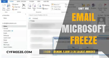 Microsoft Email Freeze: Troubleshooting Solutions When You Can't Use Email