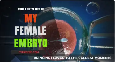 Freezing Female Embryo Eggs: A Comprehensive Guide for Preservation
