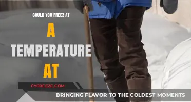 Can Humans Freeze at Specific Temperatures? Exploring the Limits of Survival
