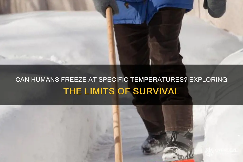 could you freez at a temperature at