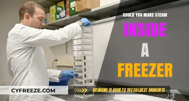 Chilling Experiment: Can You Really Make Steam Inside a Freezer?