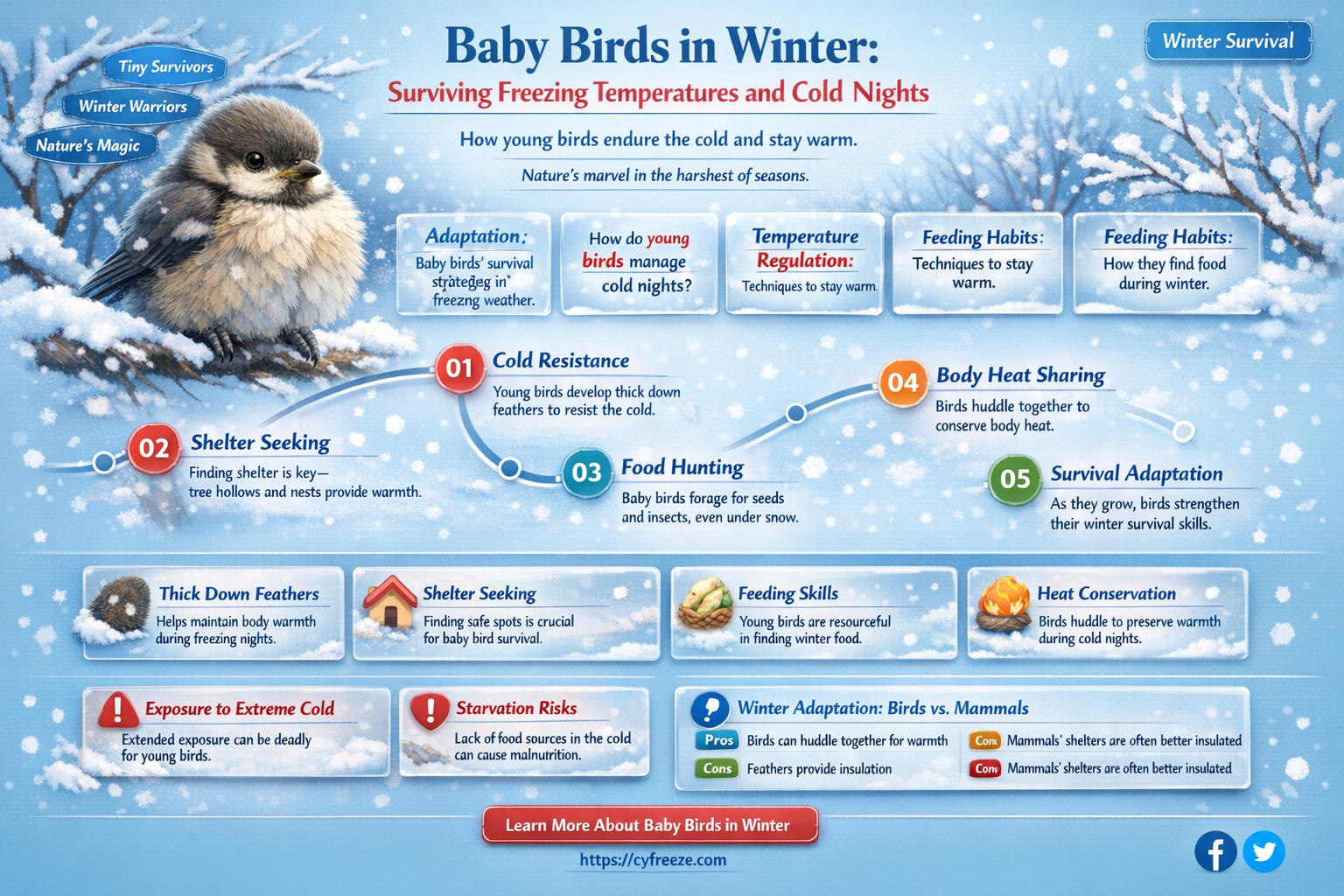 can baby birds survive freezing temperatures