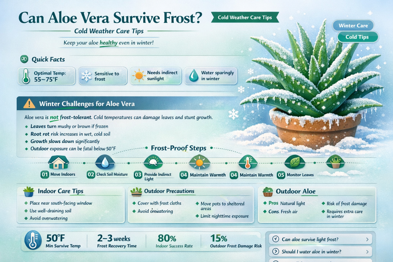 can aloe survive freezing temperatures