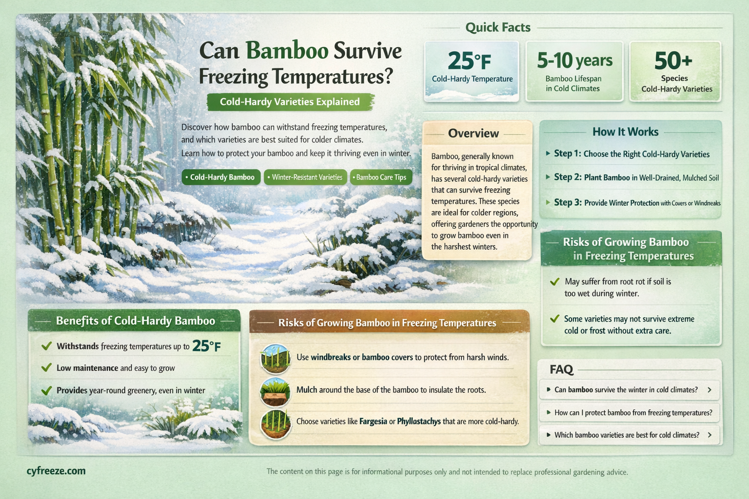 can bamboo survive freezing temperatures