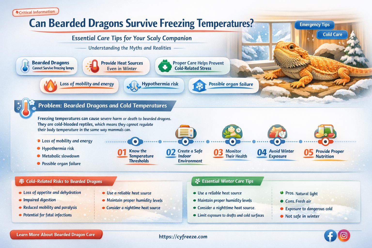 can bearded dragons survive freezing temperature