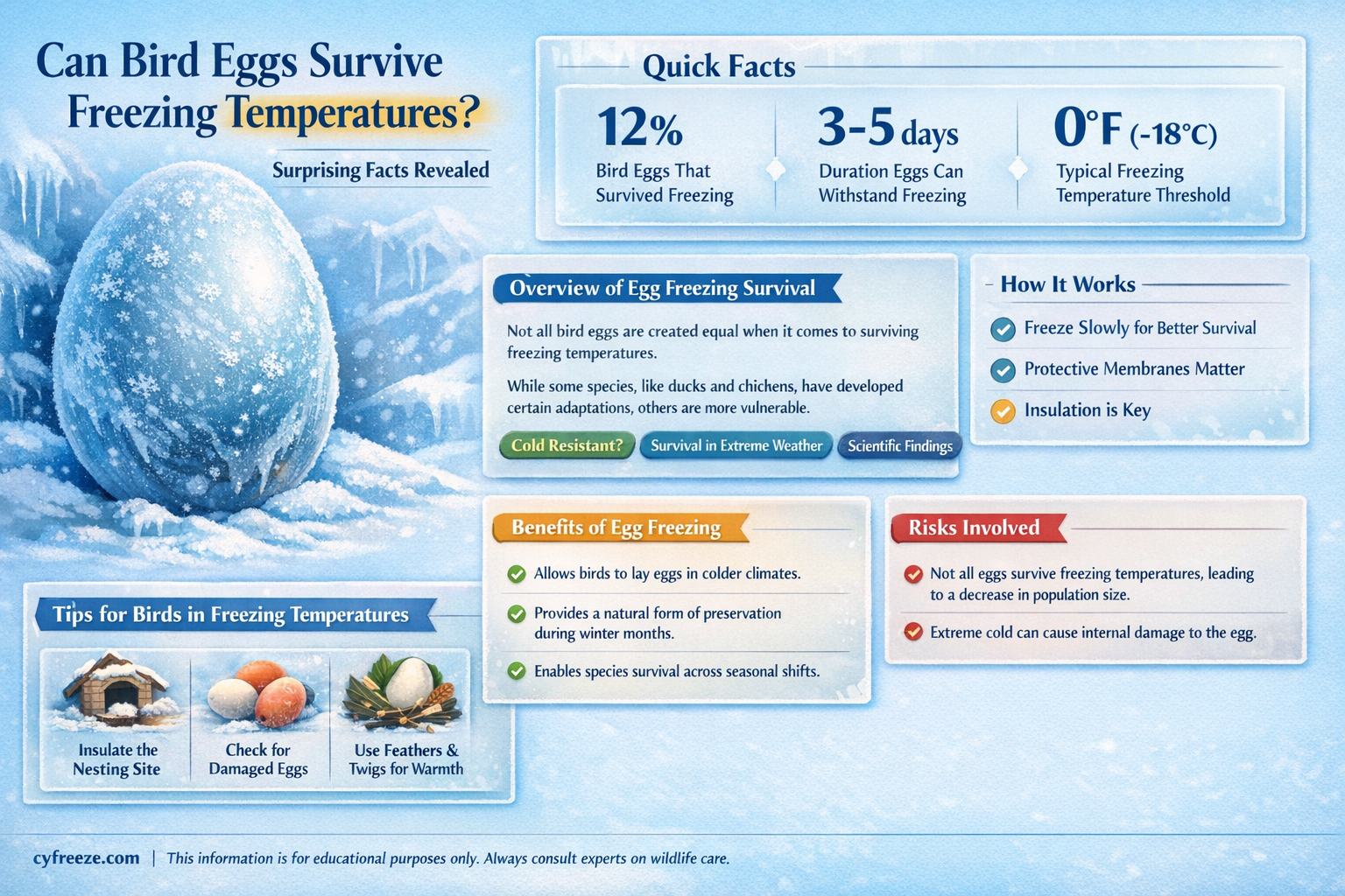 can bird eggs freeze