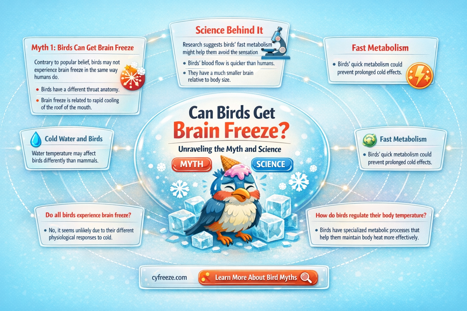can birds get brain freeze