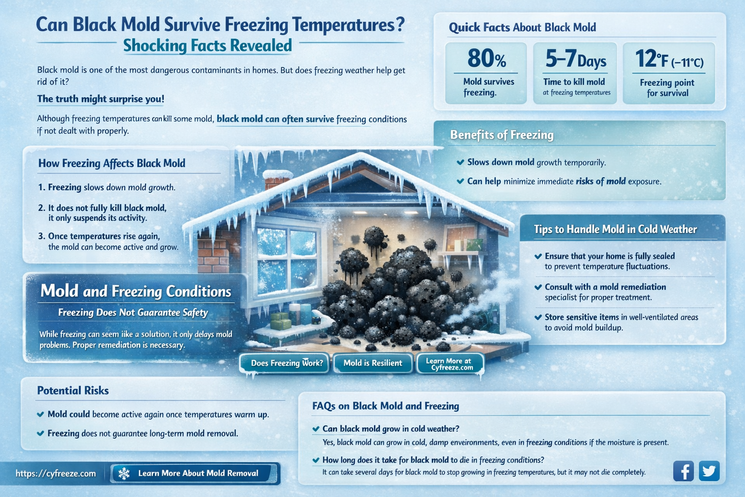 can black mold survive freezing temperatures