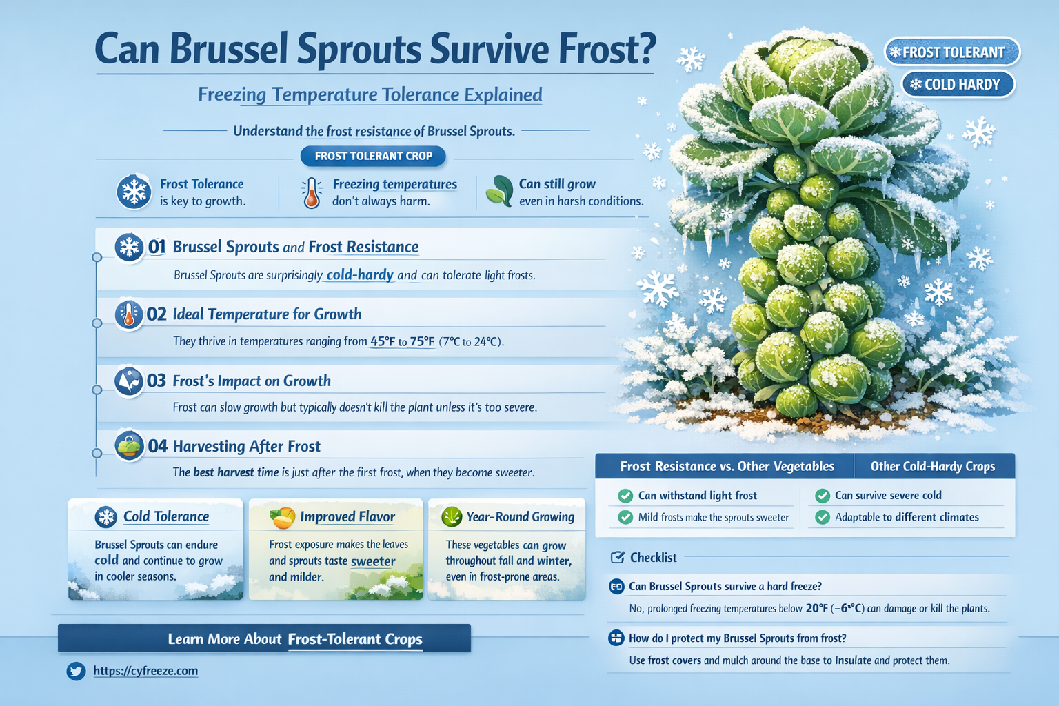 can brussel sprouts endure freezing temperatures