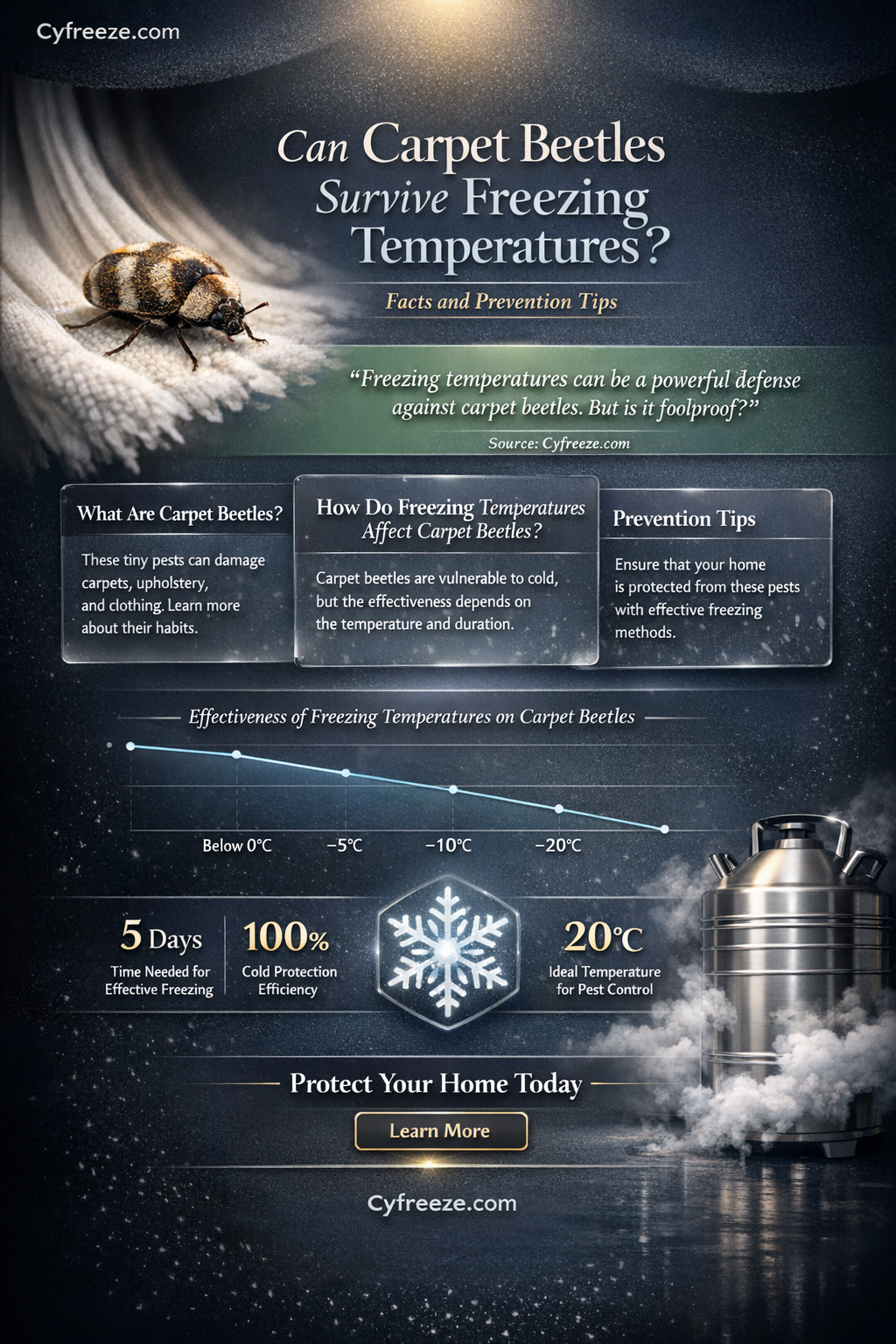 can carpet beetles survive freezing temperatures